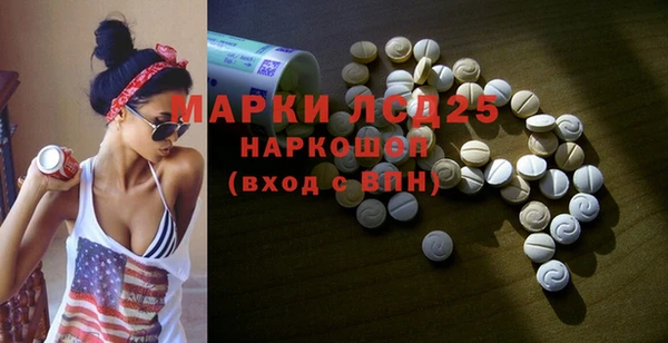ПСИЛОЦИБИНОВЫЕ ГРИБЫ Арсеньев