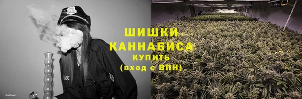 ПСИЛОЦИБИНОВЫЕ ГРИБЫ Арсеньев